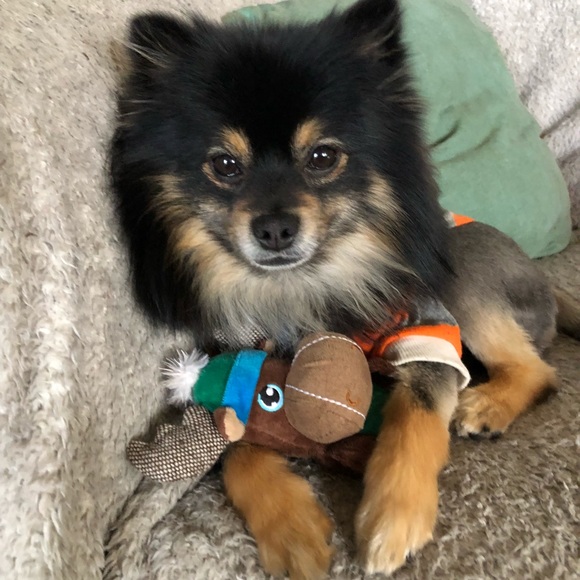 Meet your Posher, Donna - Picture 7 of 7